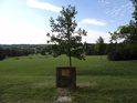 Pamětní kámen – Na podporu česko – německého usmíření v roce 60 výročí lidické tragédie věnuje Kruh přátel česko – německého porozumění Duben 2002.