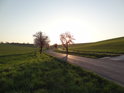 Ranní jarní sluneční romance u silnice a cyklostezky od obce Tupesy směrem na Velehrad.
